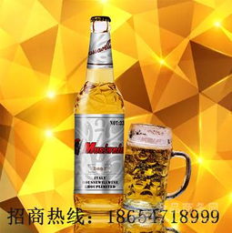 低端低價位山東啤酒廠生產(chǎn)330毫升小瓶啤酒批發(fā)加盟價格,產(chǎn)品報價